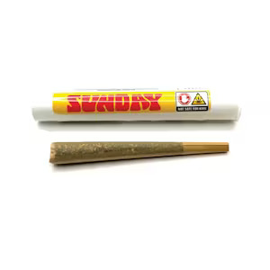 Secret Meetings | SUNDAY  Pre-Roll