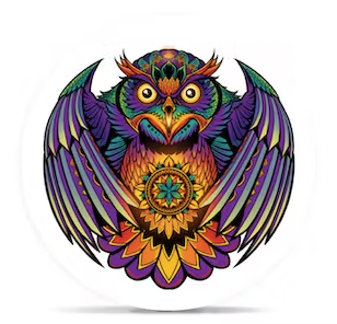 PREROLL | BAD DECISIONS