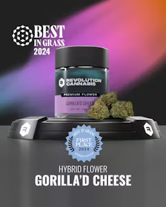 Gorilla'd Cheese - Hybrid - Flower