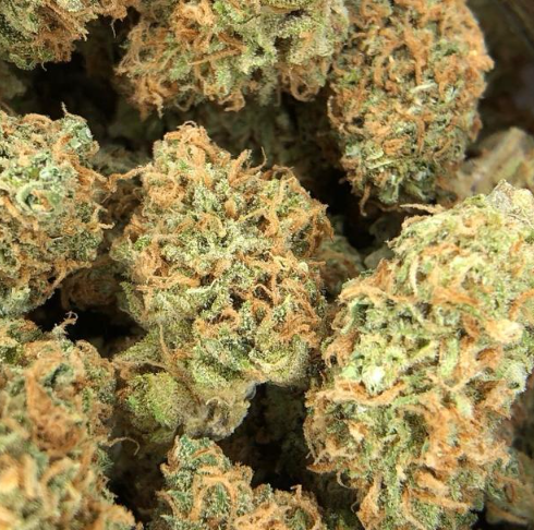 Sweet Tree