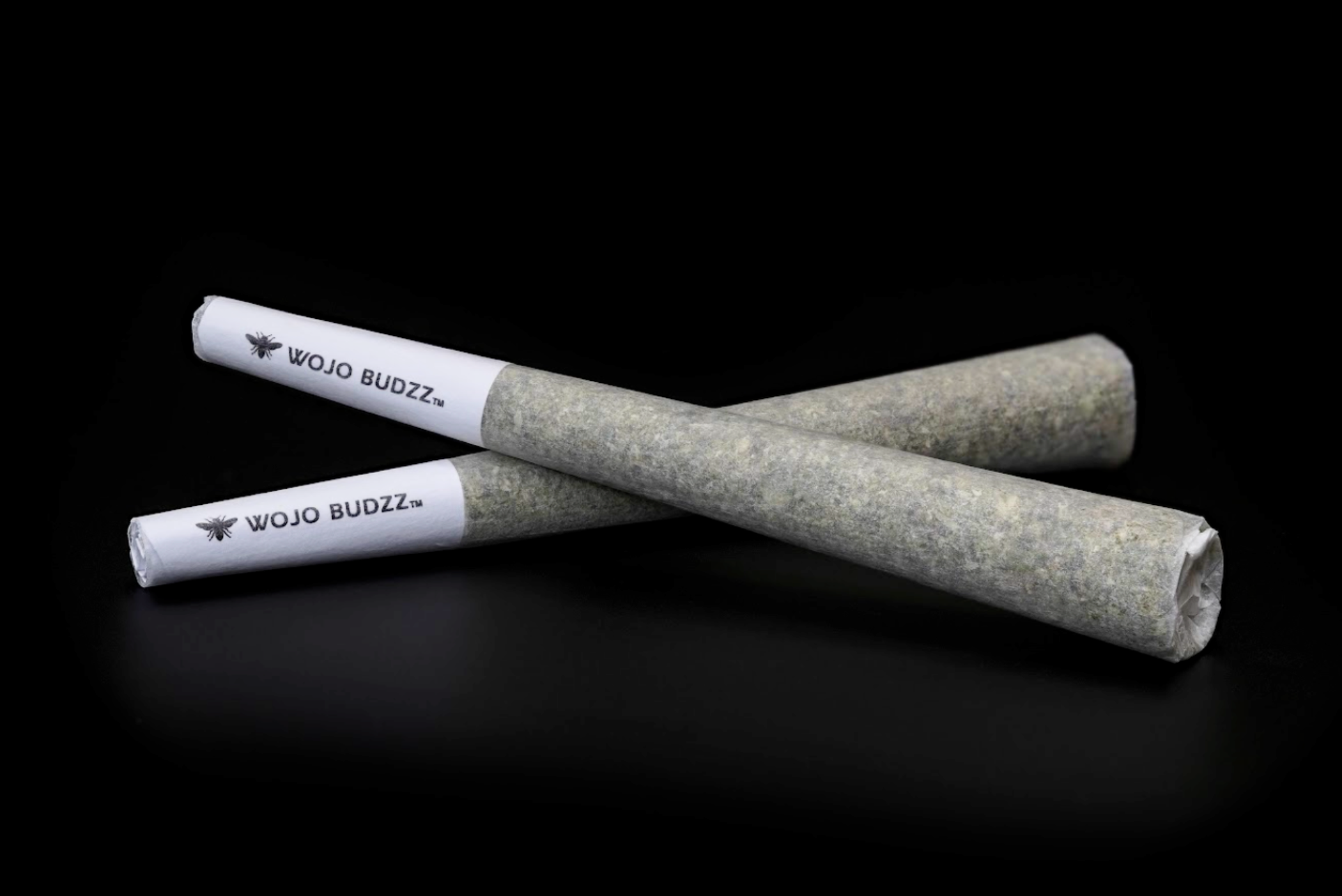 Wojo | Rainbow Pave | Infused Preroll | 1g