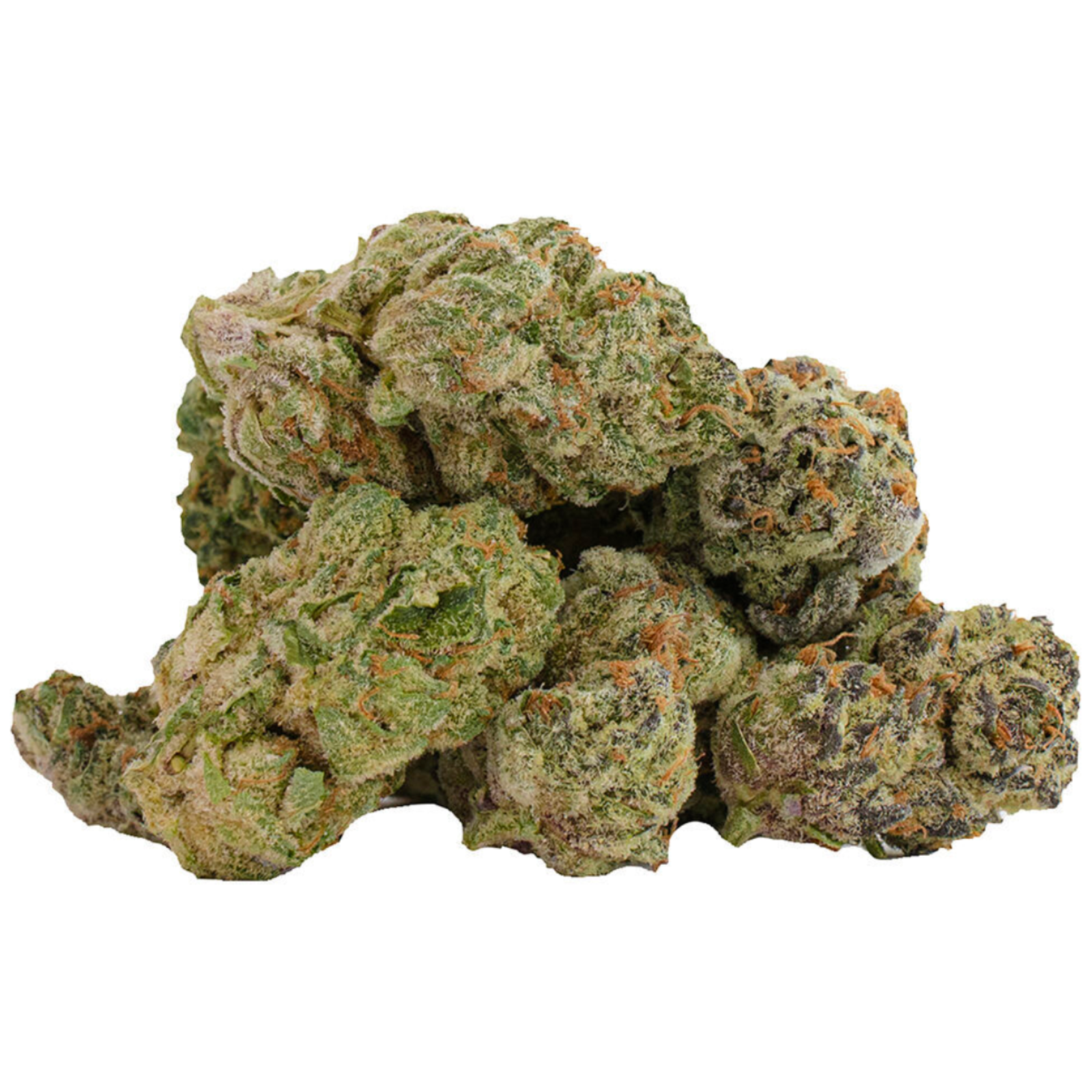 Glitterbomb X Rainbow Cheddar #5 | 14g