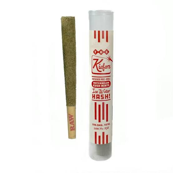 Kiefers Watermelon Kush Pr25013