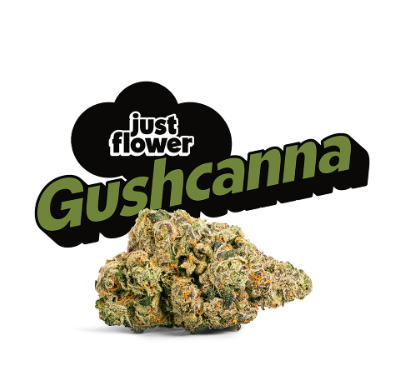 JUST FLOWER Gushcanna 10g
