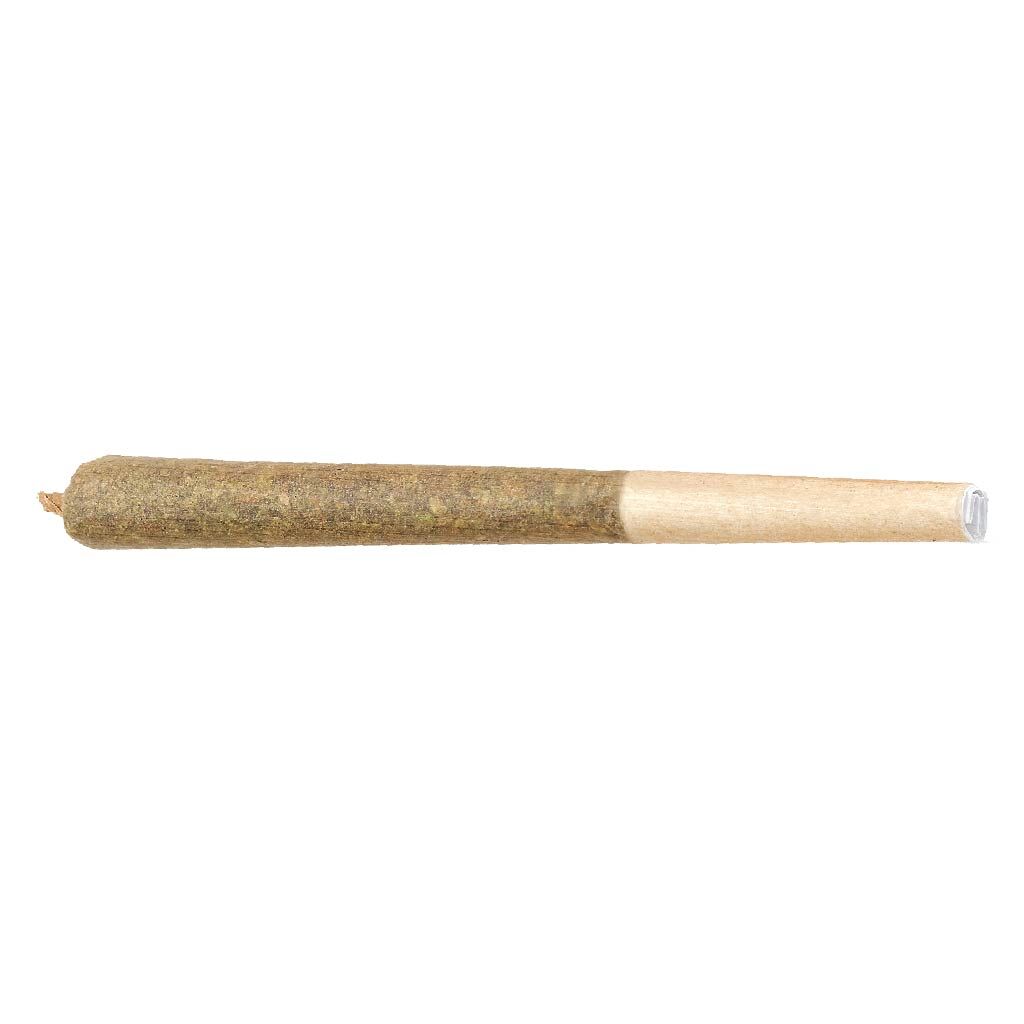 Moby Dick Pre-Roll - 1x1g