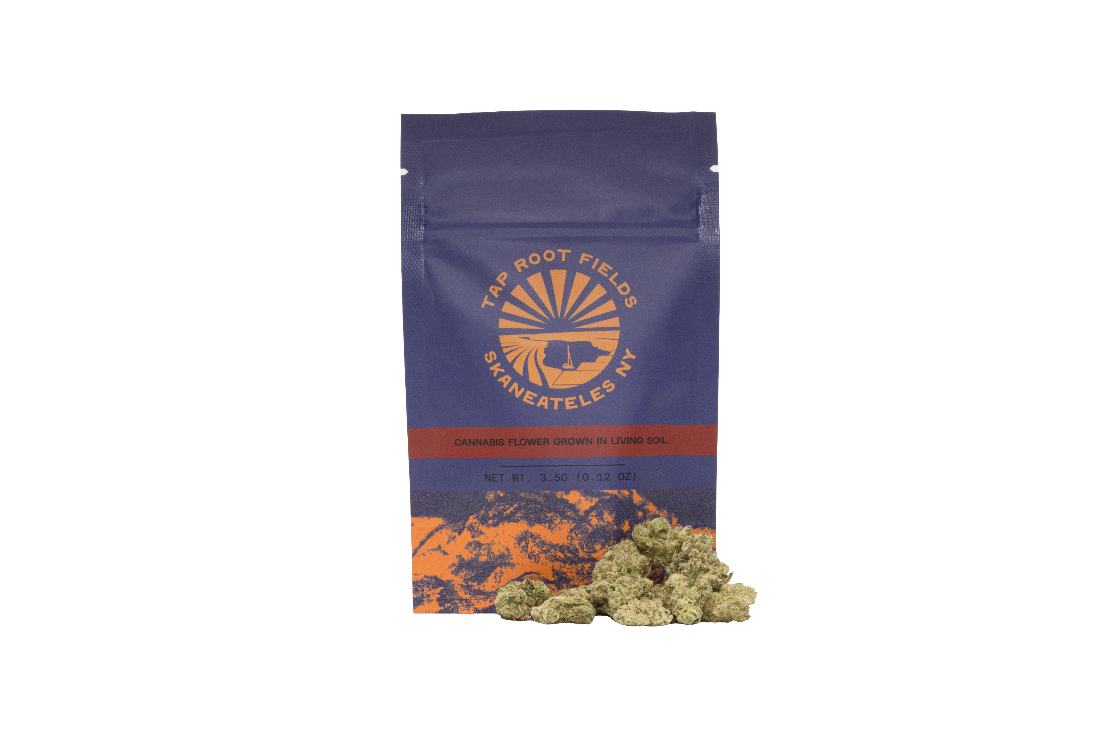 3.5G SACH- GORILLA GLUE #4