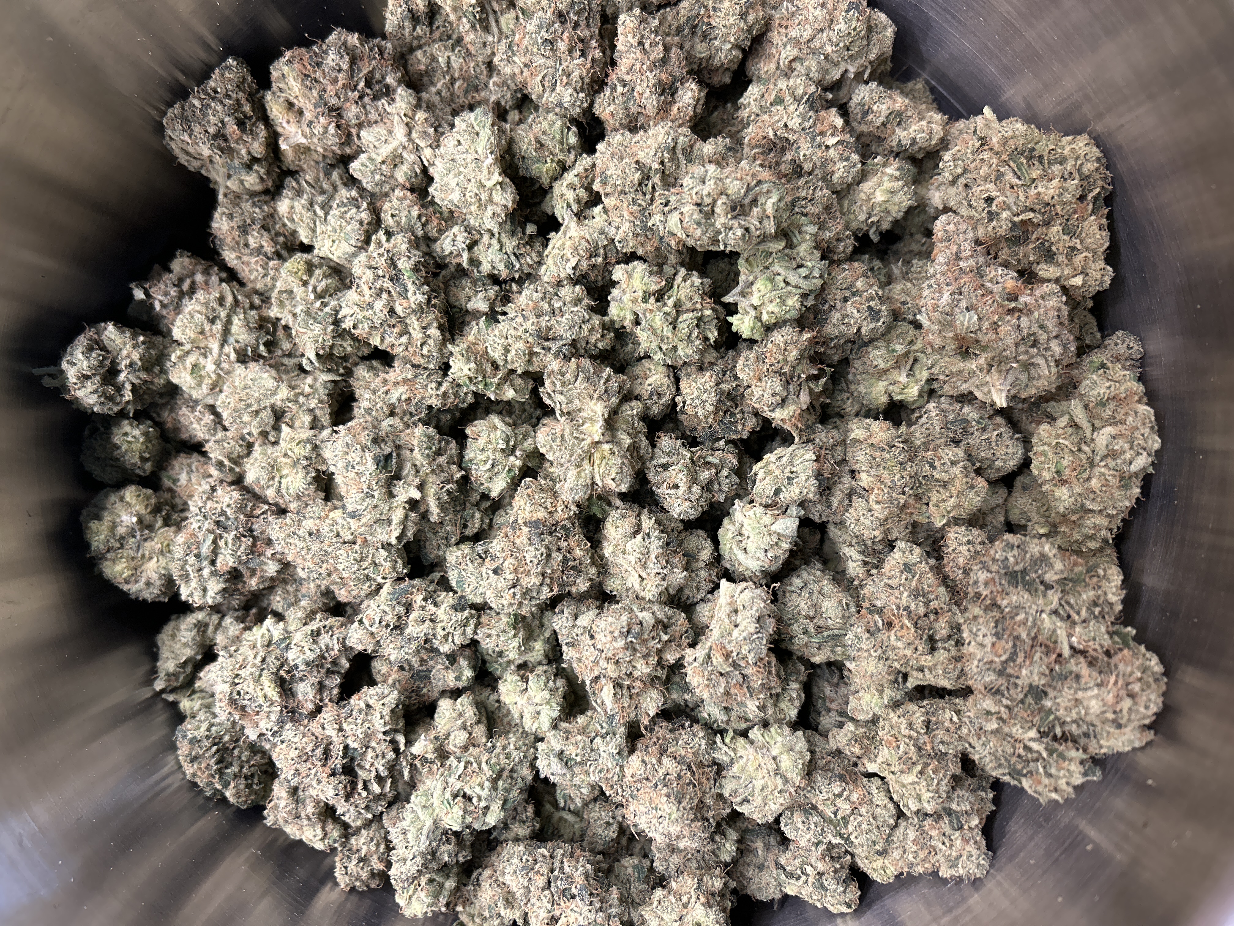 Harbor House | Orange 43 | Buds | 3.2%+ Terps (1g) product photo