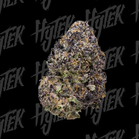 HYTEK | REVENGE OF THE PERM | BULK FLOWER