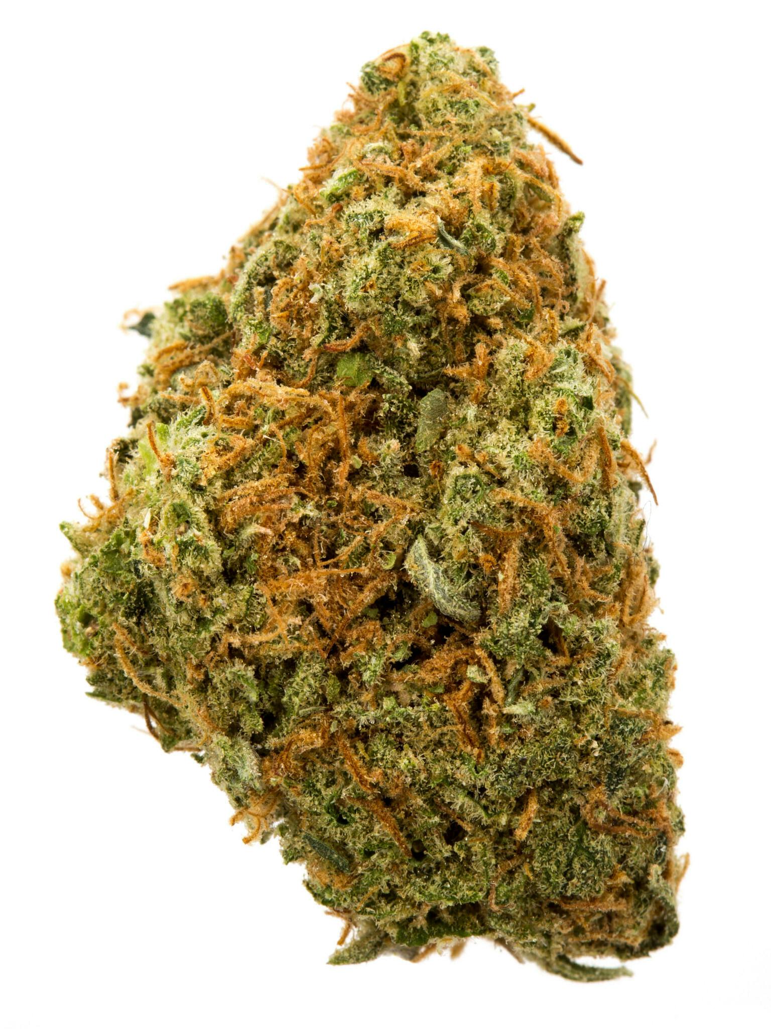 M.i.a Runtz Bulk Hybrid