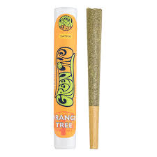 Orange Tree - 1G Infused Preroll