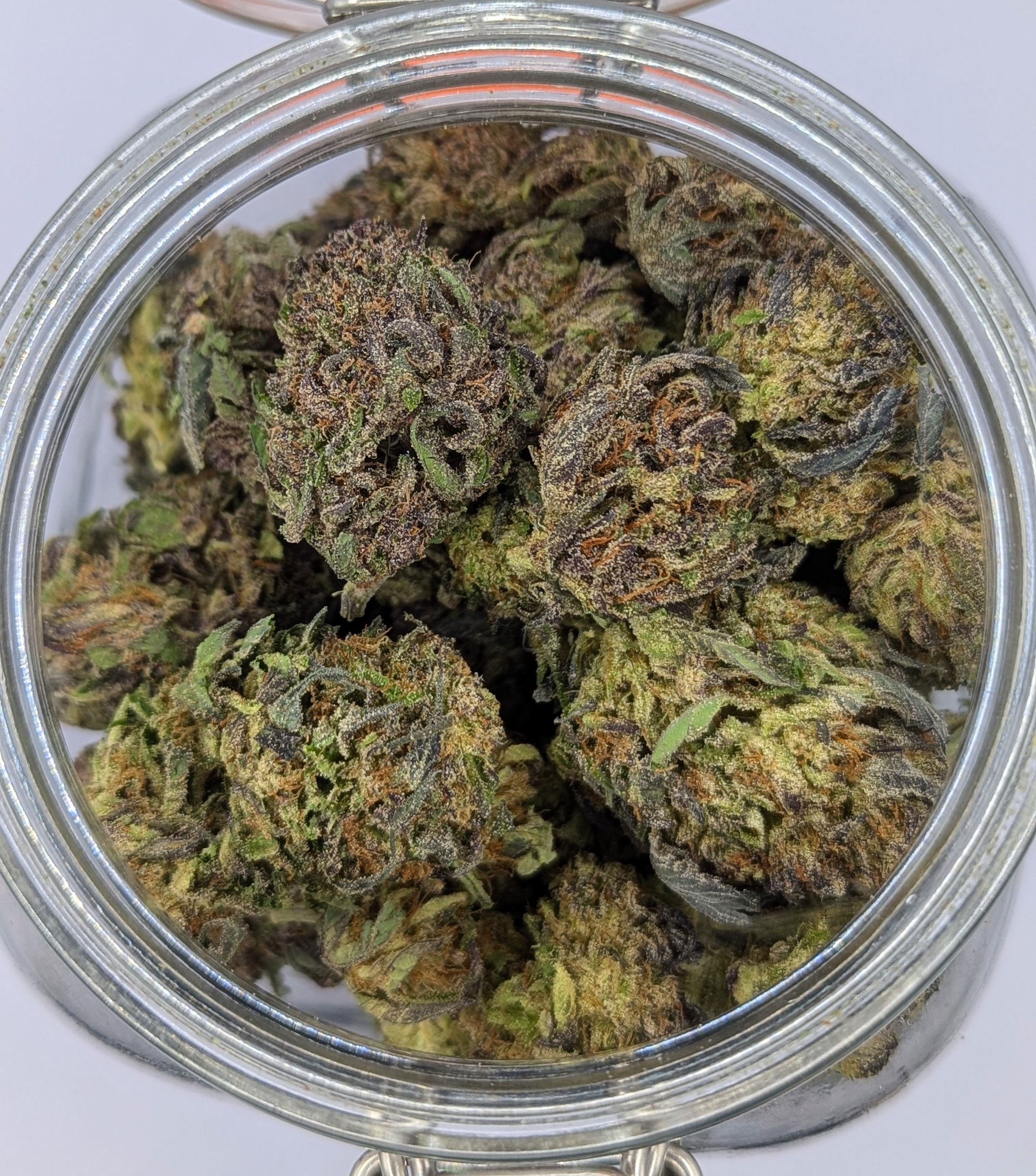 Davina - Sun Grown Deli Flower