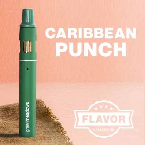 Caribbean Punch | The Tank - Disposable Vape | 1g