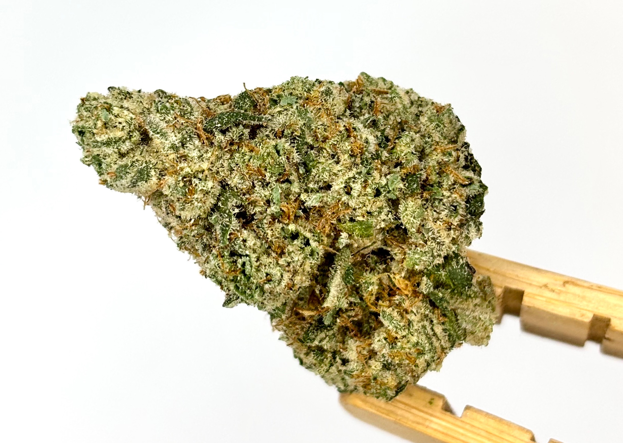 Face Melt Bulk Flower