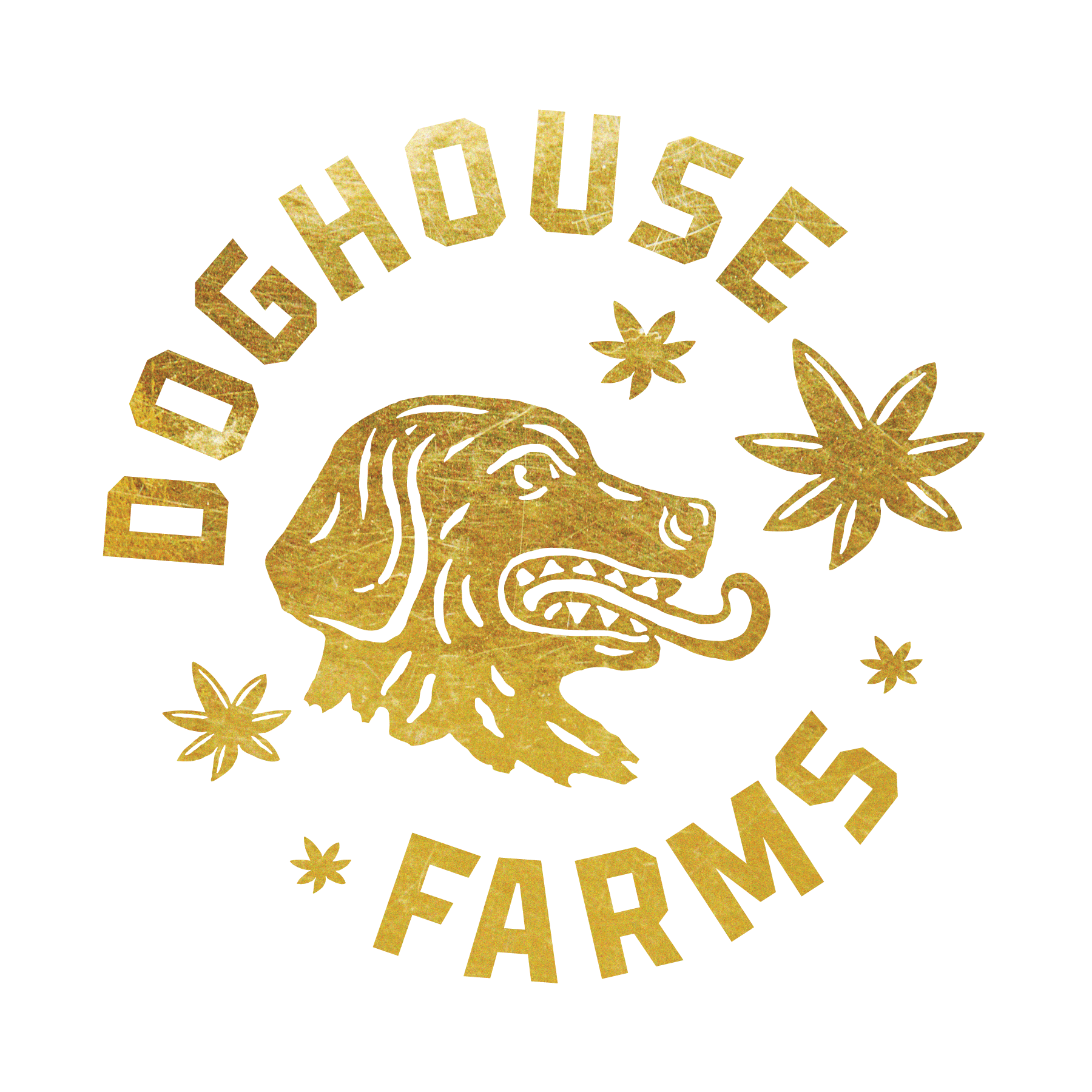 DogHouse | Gratiot Gold (Smalls) Bulk Flower | Platinum Tier