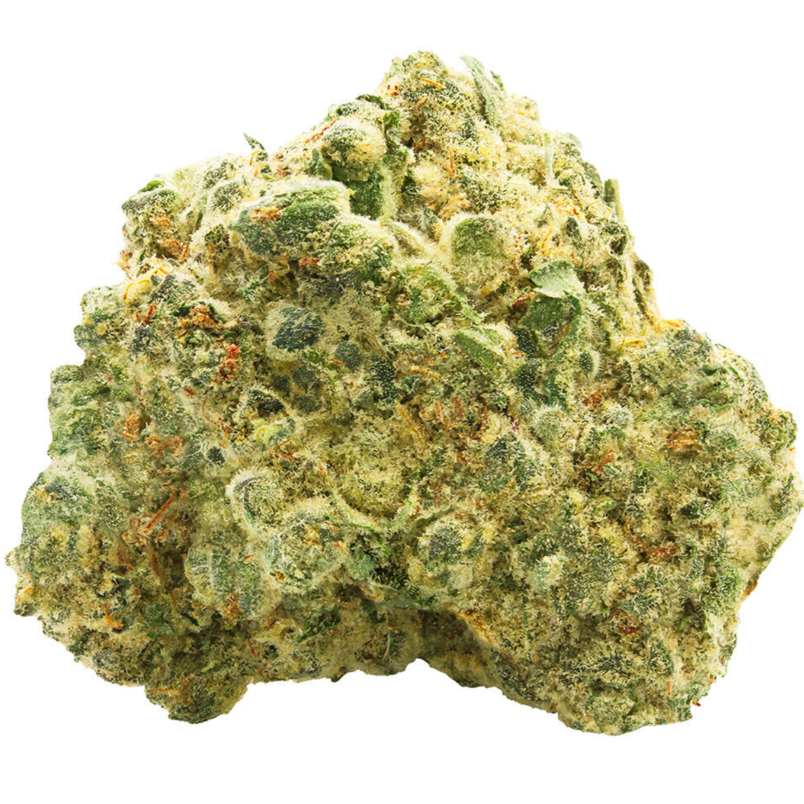 OG Kush (GMO #12 x SFV OG) | 7g