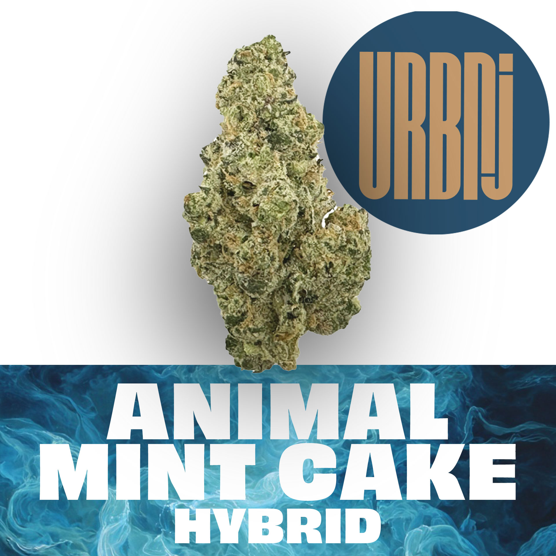 Animal Mint Cake | URBNJ |  Flower