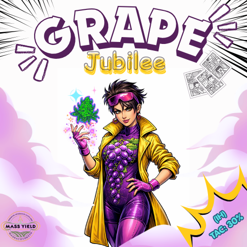 Mass Yield - Grape Jubilee Deli Style Flower (2g) product photo