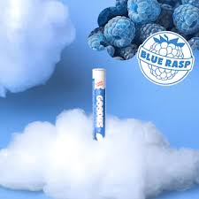 Preroll | Blue Raspberry Dream | Hybrid | 1pk/1g