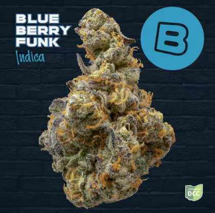 Blueberry Funk