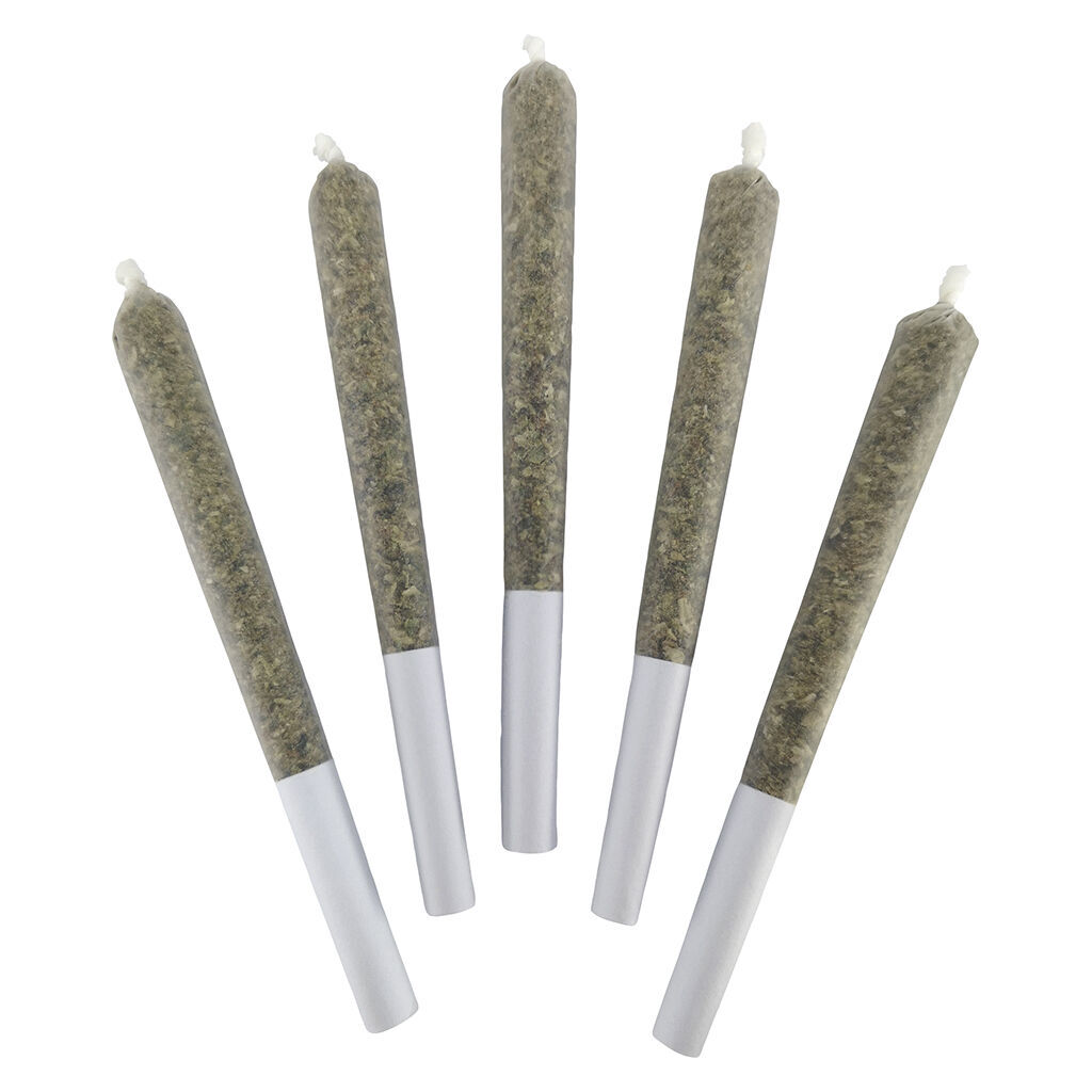Galactica OG Pre-Roll 5-Pack | (5 x 0.5g)