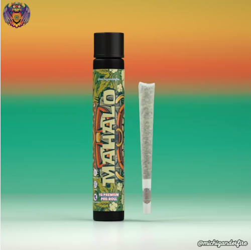 Michigander Fire Mahalo Pre Roll