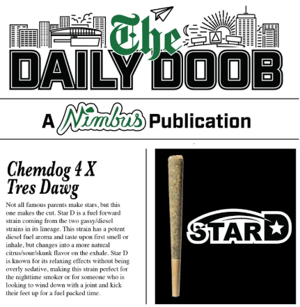 The Daily Doob - Star D | Preroll 1g