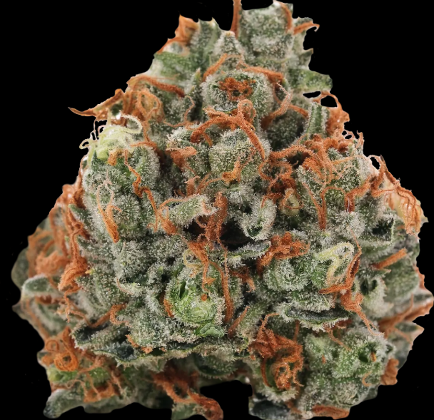 Flower - Casey Jones - Verano Reserve - REC