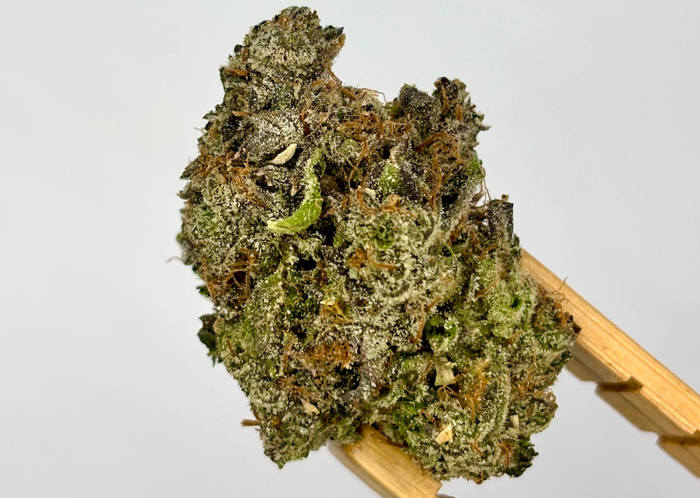 Society C | Project Z | Bulk Flower | Platinum Tier