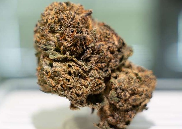Sunset Sherbert