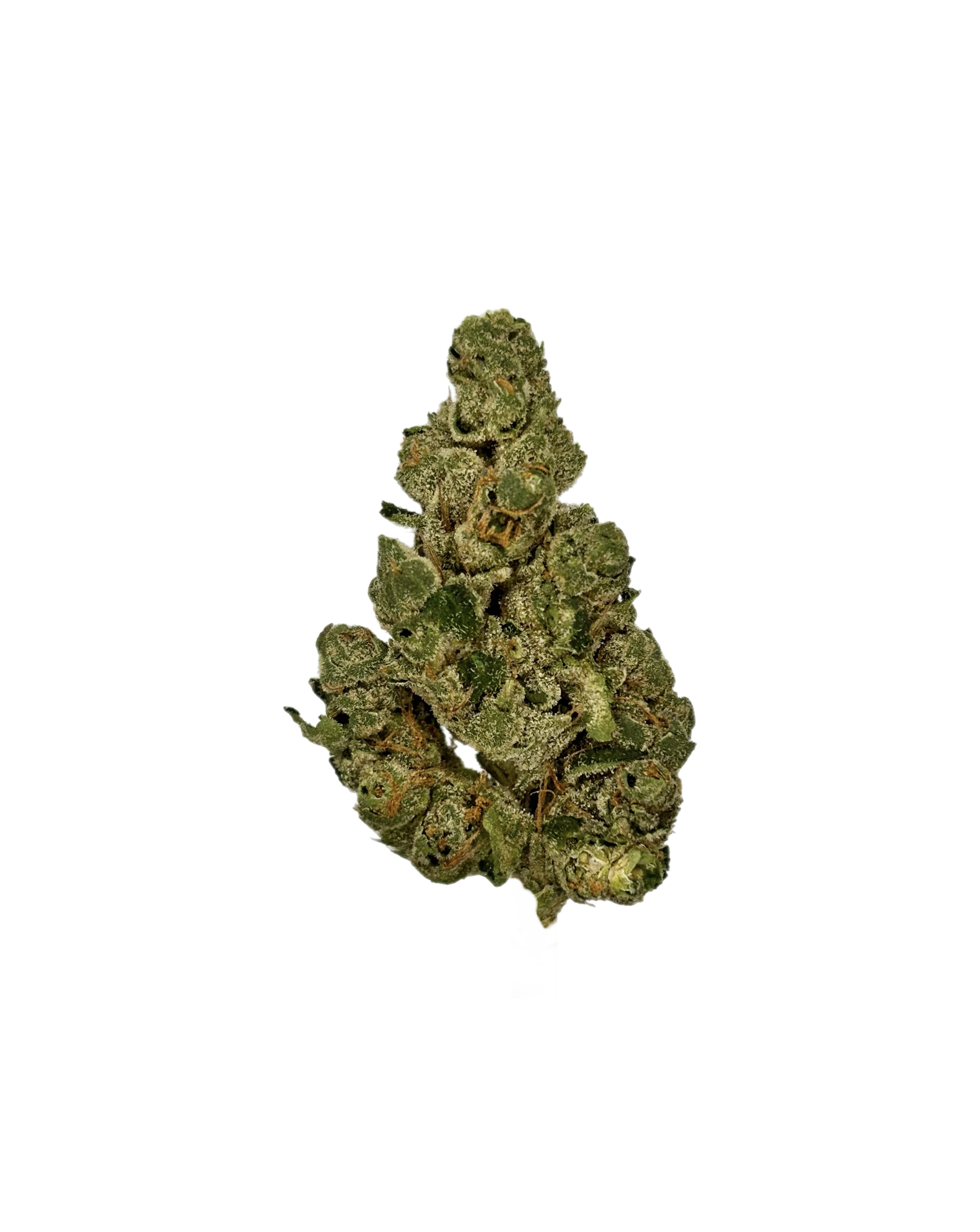 Garlic Butter | Bulk Flower | Yellow Tier