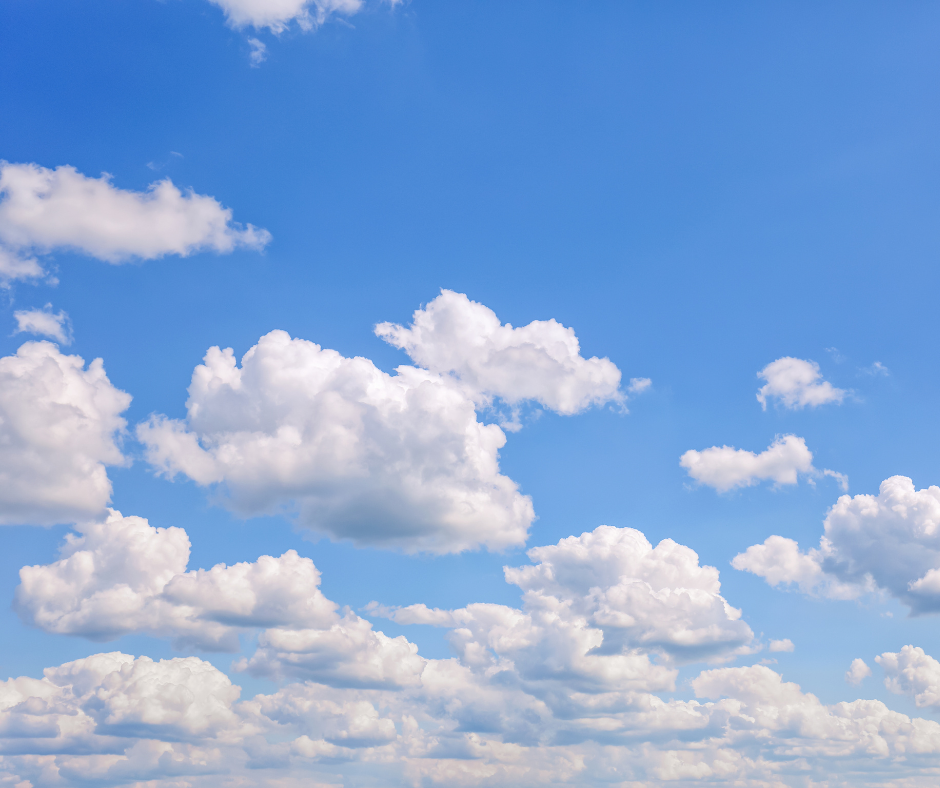 Purple Churro - Live Resin All-In-One Vaporizer - "Unwind"