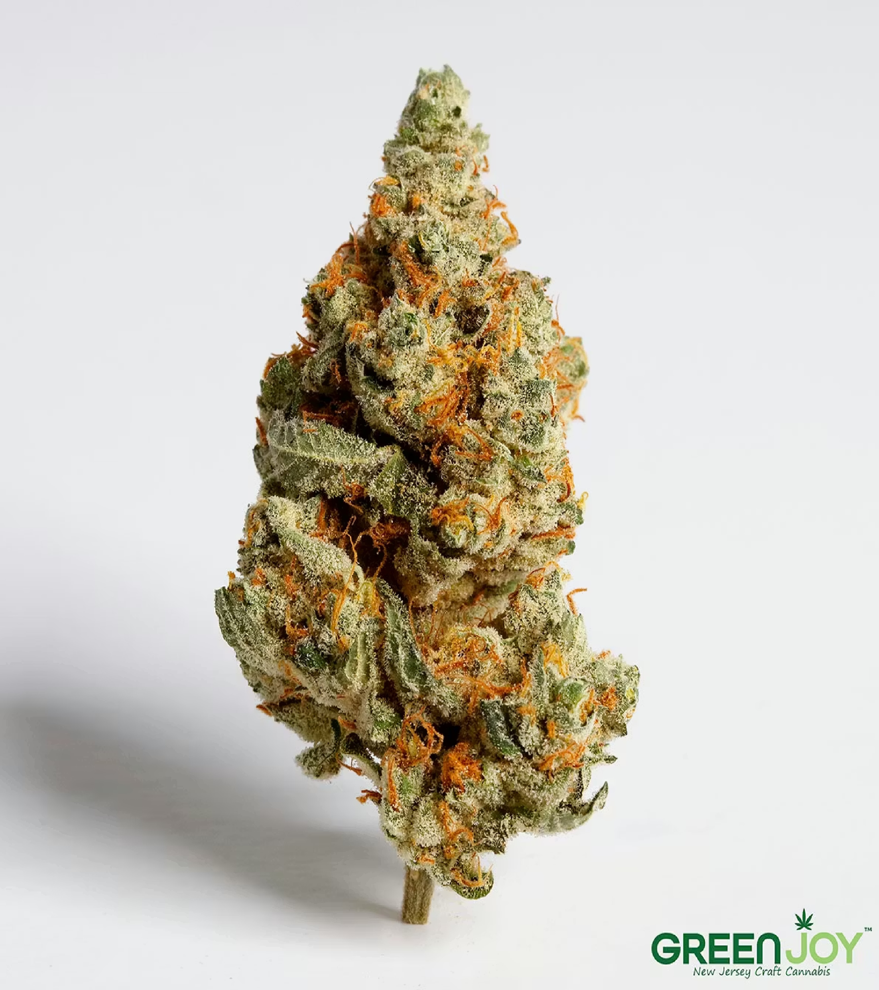 Megalato - - Green Joy (Hybrid)