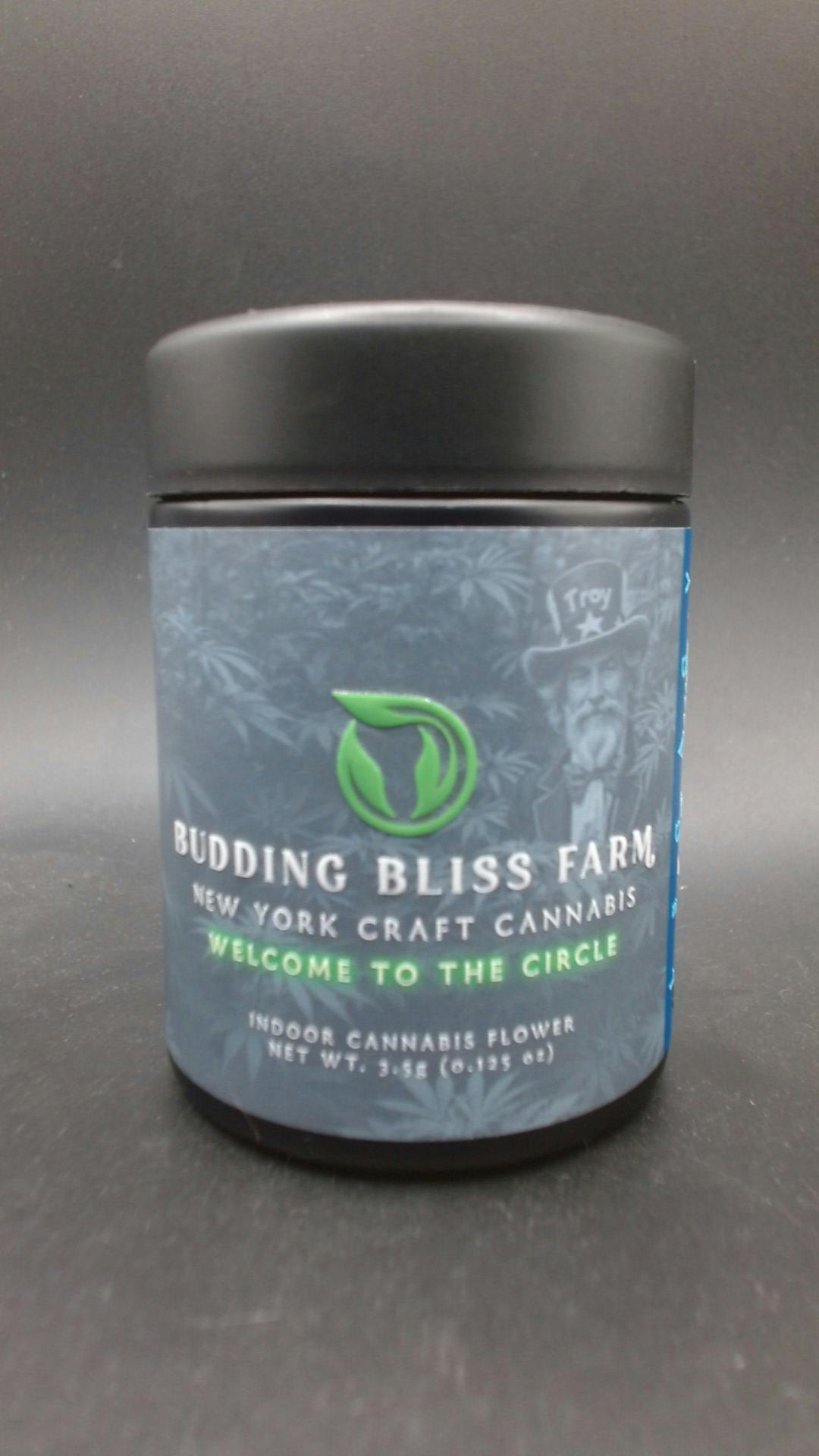 Budding Bliss Farm Mac Stomper Flower