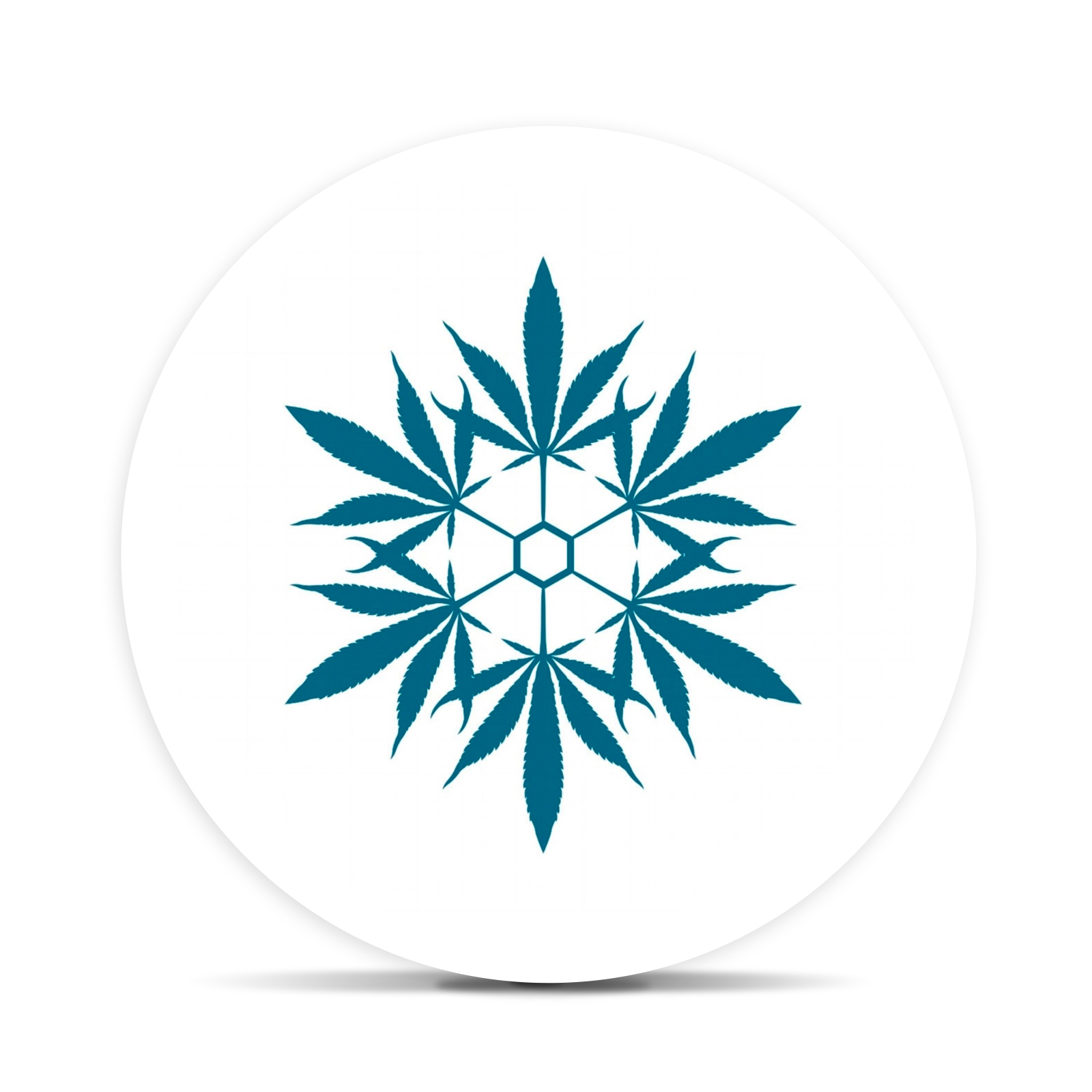 Black Bold Disposable Cartridge