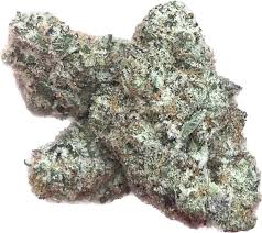 Team 517 | Cap Junky | 28G Shake/Trim