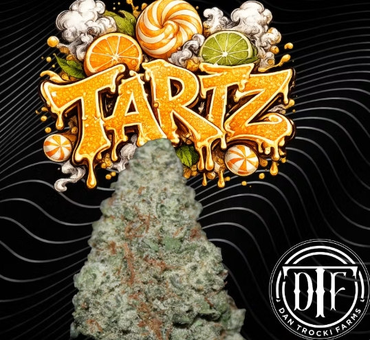 Dan Trocki Farms -Tartz - 3.5g - Premium Flower