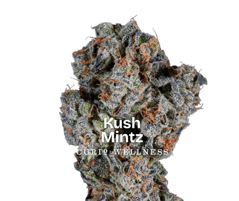 CURIO EXCLUSIVE Kush Mintz 3.5g