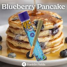 BLUEBERRY PANCAKE | SATIVA | INFUSED PRE-ROLL REC