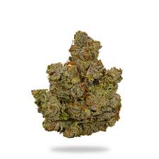 Canal St. Runtz | Purple Tier Bulk Flower