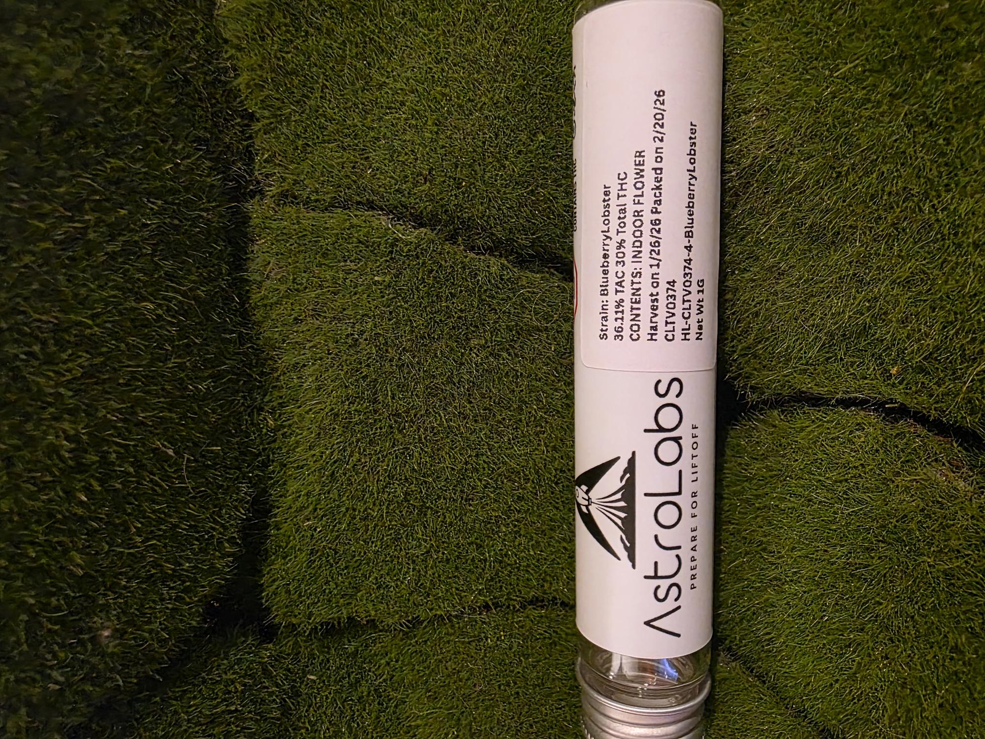 Pre Roll Single | Blueberry Lobster