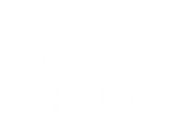 Chap Eden Tshirt Colors