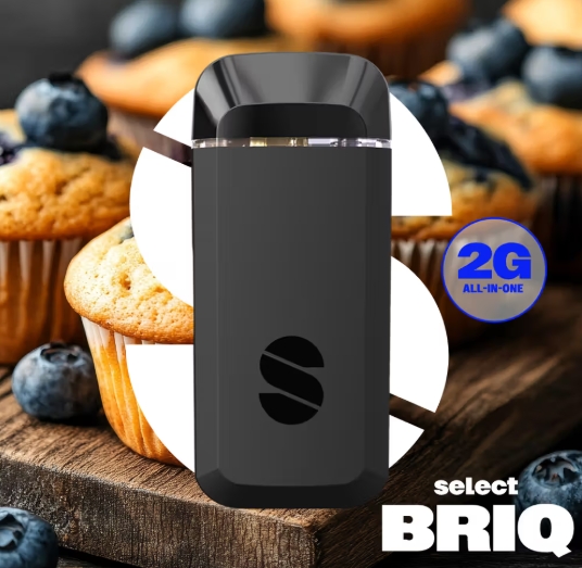 Select Briq  Limited Time - Blueberry Banana Pancakes - 2g - Deposable Vape