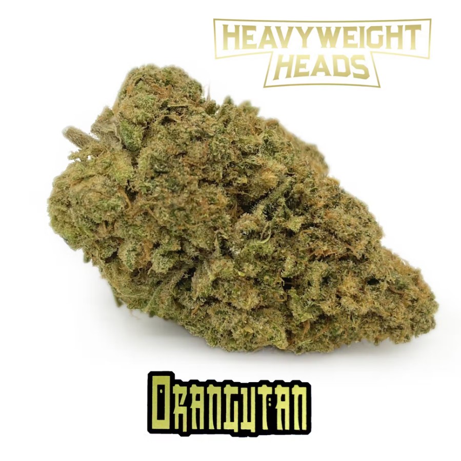 Heavyweight Heads - 3.5g Prepack - Orangutan