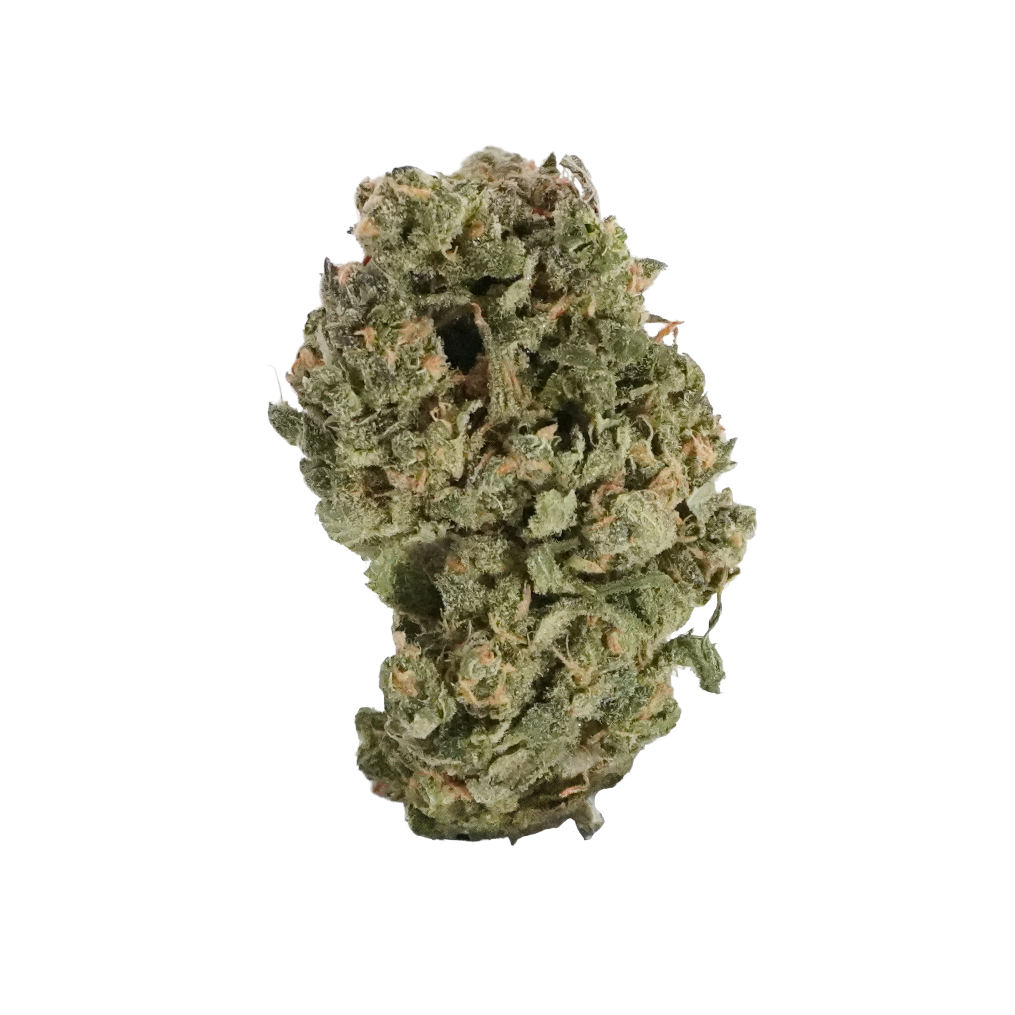 Great Smoky | Blue Dream Flower [5-6]