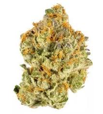 Baseline | Zashimi POPCORN 14g