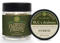 Florist Farms | Jealousy | Hybrid | Flower
