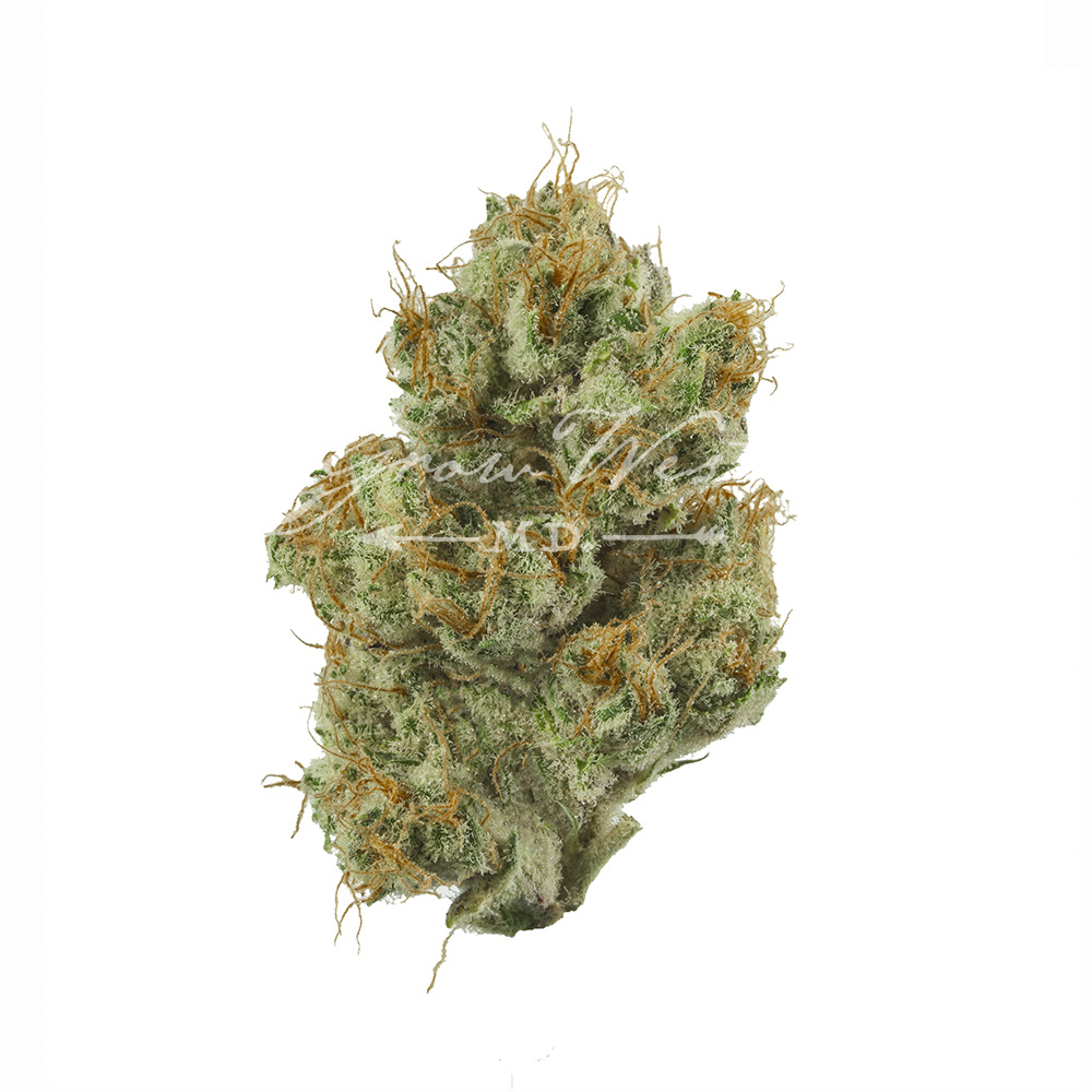 Shrieker | Premium | Hand-Trimmed Flower