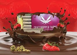 Grasshopper Farms 5pk Infused Chocolate Covered Strawberry