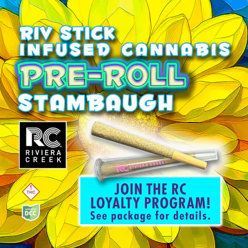 Stambaugh Garlic Cookies - Infused Pre-Roll - 1g