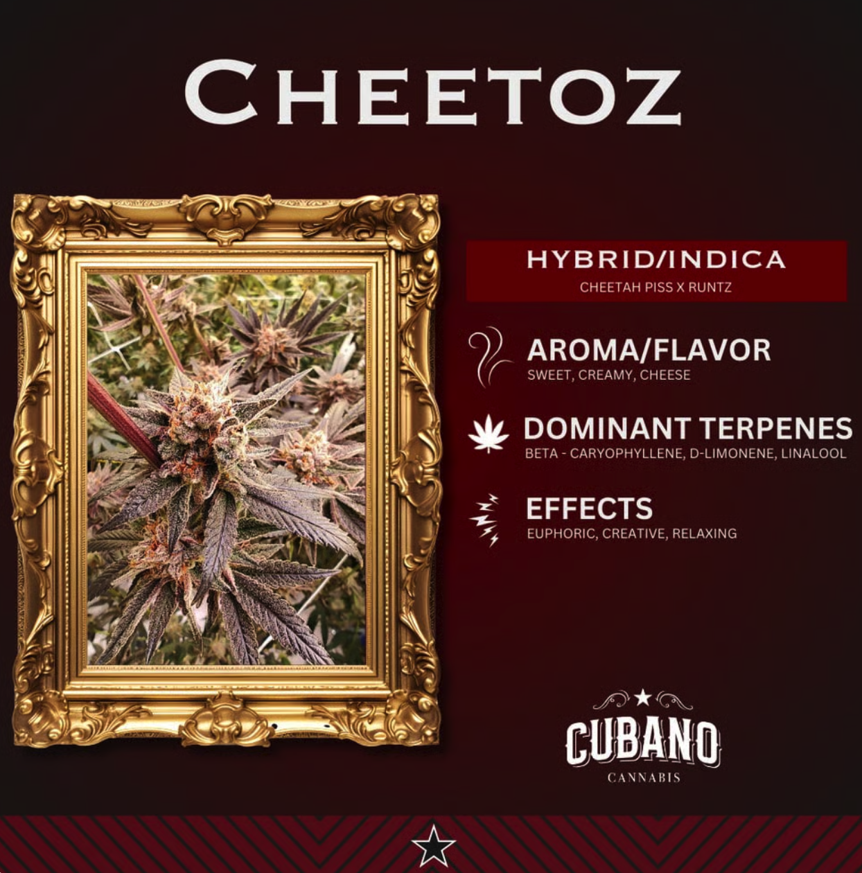 Cubano - Cheetoz